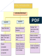 Ciclo vital andino: las categorías principales de socialización