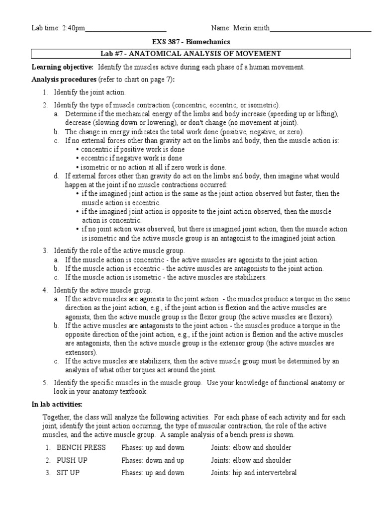Lab 7-Analysis 1 - 2 | PDF | Anatomical Terms Of Motion | Human Body