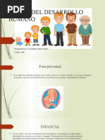 Etapas de Desarrollo