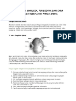 Alat Indra Manusia Dan Fungsinya