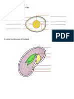 I. A. Label The Parts of An Egg