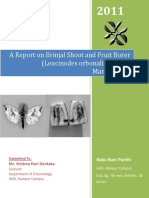 A Report On Brinjal Shoot and Fruit Borer and Its Management