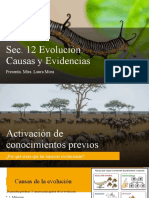 Sec. 12. Evolución, Causas y Evidencias