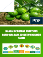 Bpa Limon Tahiti