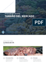 Tamaño Del Mercado PDF
