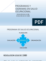 Programas y Subprogramas en Salud Ocupacional