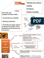 Hidratos_de_Carbono_diapositivas_1.pdf