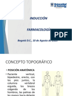 Nomenclatura y Posiciones Anatomicas