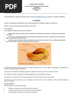 CIENCIAS - FRUTO