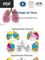 Exploración Física del Tórax | PDF | Sistema respiratorio | Neumología