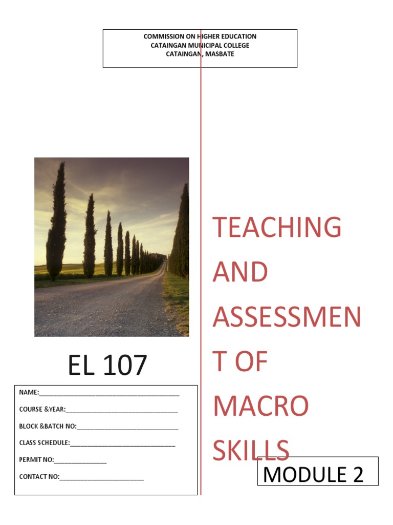 Teaching Macro Skills Guide | PDF | Reading Comprehension | Fluency