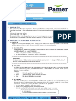 Lenguaje 11 Puntuación PDF