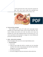 LP SC Dan Placenta Previa