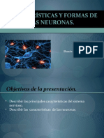 neurona (3).pptx