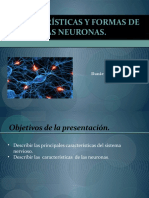 neurona.pptx