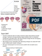 Patogenesis BPH