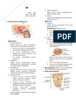 Sistem Reproduksi