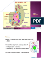 Content Owned by Eduscope International FZ LL, DHCC, Dubai