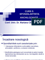 CURS SA F (1).pptx