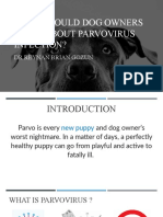 What Should Dog Owners Know About Parvovirus Infection?: DR - Reynan Brian Gozun