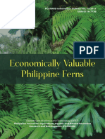 Economically Valuable Philippine Ferns - Beta