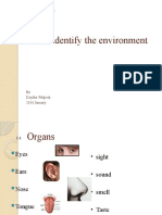 Let Us Identify The Environment: Science Lesson 1 Year 6