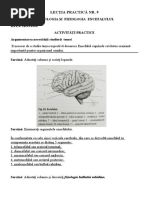 LECŢIA PRACTICĂ NR9