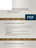 Derechos Fundamentales