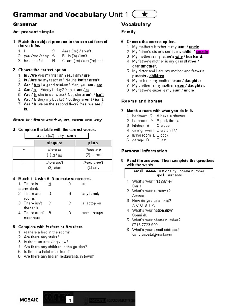 Grammar and Vocabulary Unit 1 | PDF | Grammar | Symbols