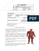 El Sistema Locomotor 5 Grado