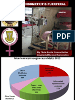 BVG Endometritis Puerperal