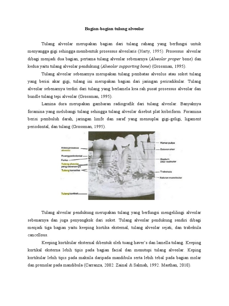 Orta yoshli ayollar ishtirokidagi rus porno videolari