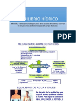 EQUILIBRIO HÍDRICO.pptx