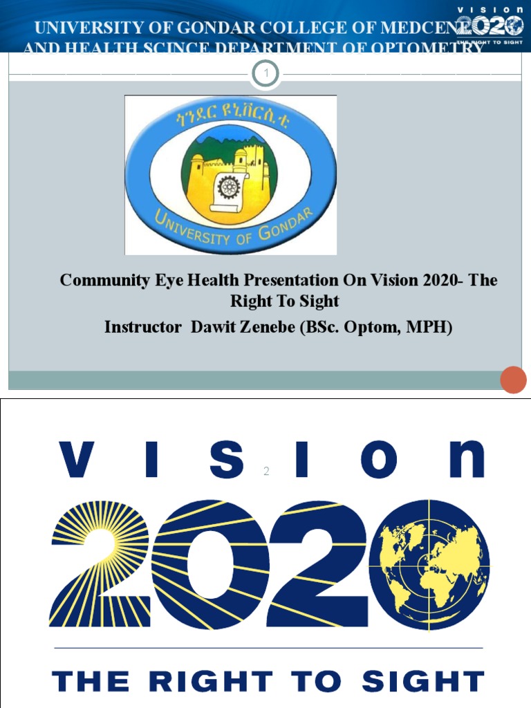 Vision 2020 Presentation PDF Visual Impairment World Health