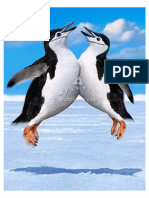 pinguino-convertido