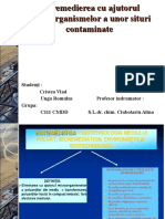 Microbiologia Solului - Bioremedierea Cu Ajutorul Microorganismelor - Cristea Vlad Si Unga Romulus