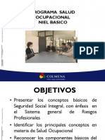 Presentacion_Programa_de_Sauld_Ocupacional.pdf