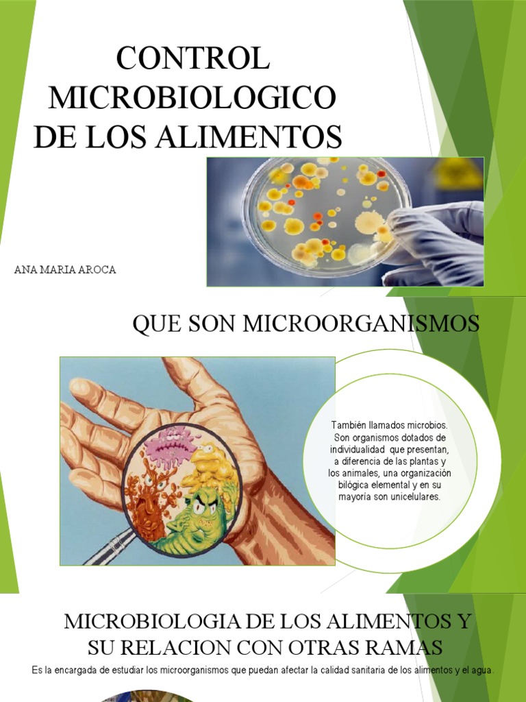 Control Microbiologico de Los Alimentos | PDF | Microorganismo | Alimentos
