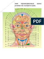 Атлас Огулова - Схемы проекционных зон PDF