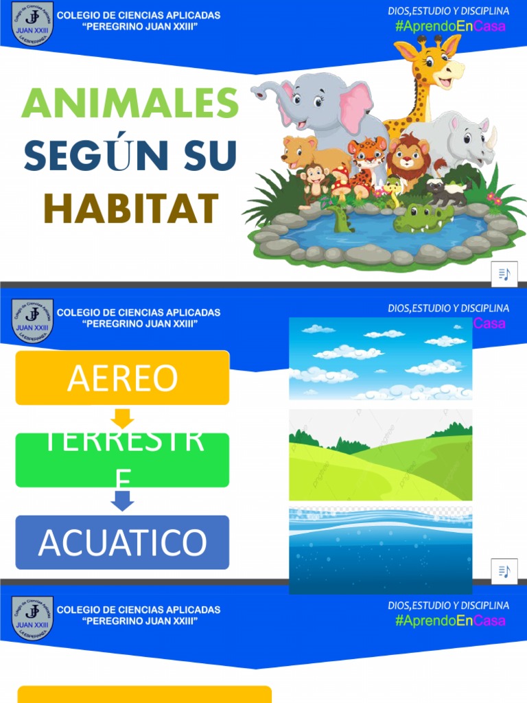 Clasificación de Animales por Hábitat | PDF | Hogar, jardinería y bricolaje