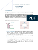 Ejercicios de Respiración PDF
