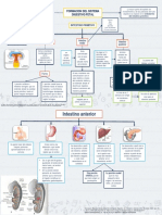 Gastro PDF