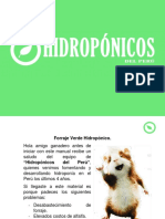 GUIA FORRAJE VERDE HIDROPONICO HIDROPONICOS DEL PERU.pdf