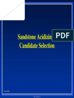 Day 2 - Sandstone Acidizing - Candidate Selection PDF