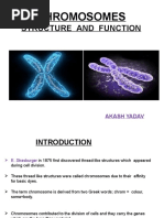 Chromosome Structure and Function Ny