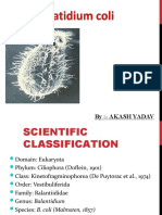 Scientific Classification and Life Cycle of Balantidium coli