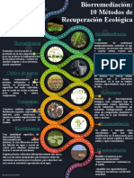 Infograma Biorremediación