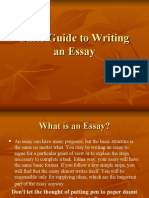 Basic Guide To Writing An Essay