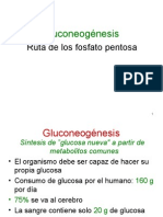 gluconeogenesis3