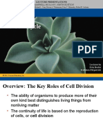 Chapter 12 Cell Cycle.ppt